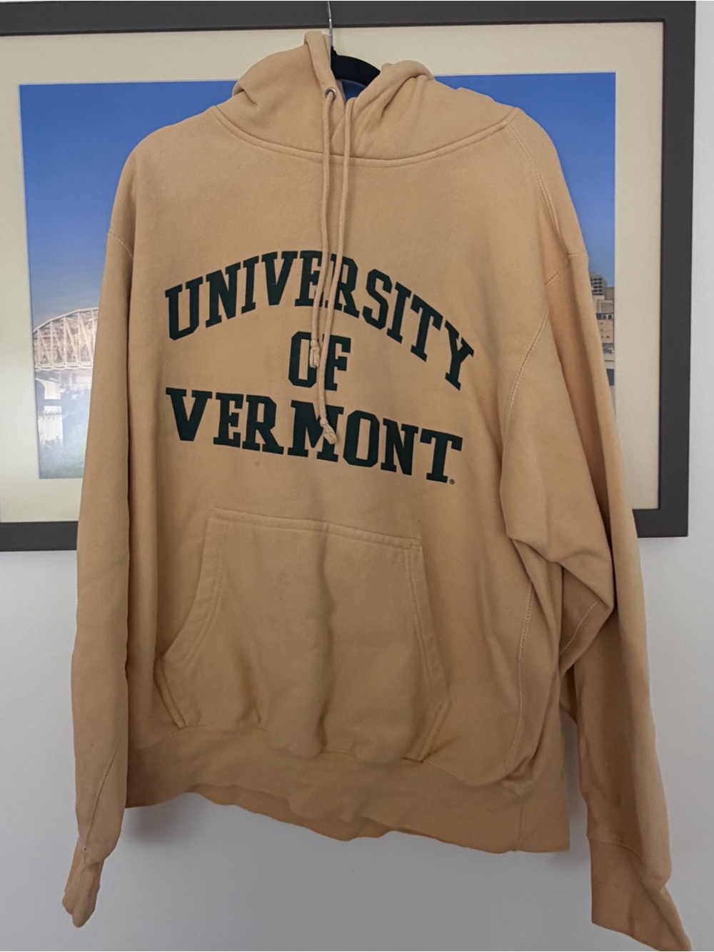University of Vermont Hoodie